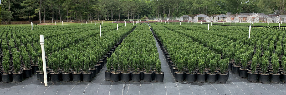 G&H Nursery